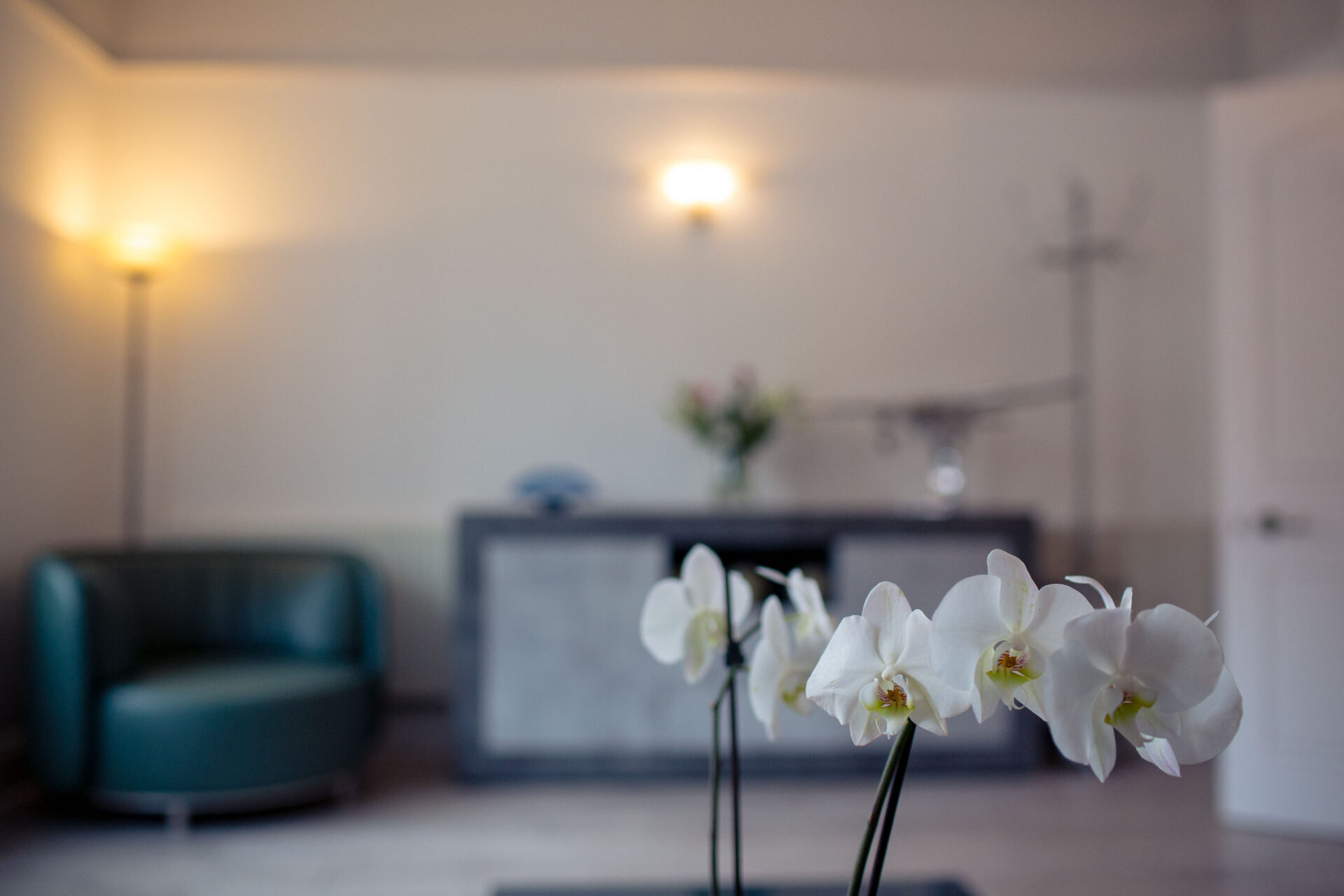 FiftyFiveADental-9421